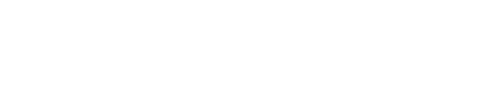 SIDN fonds